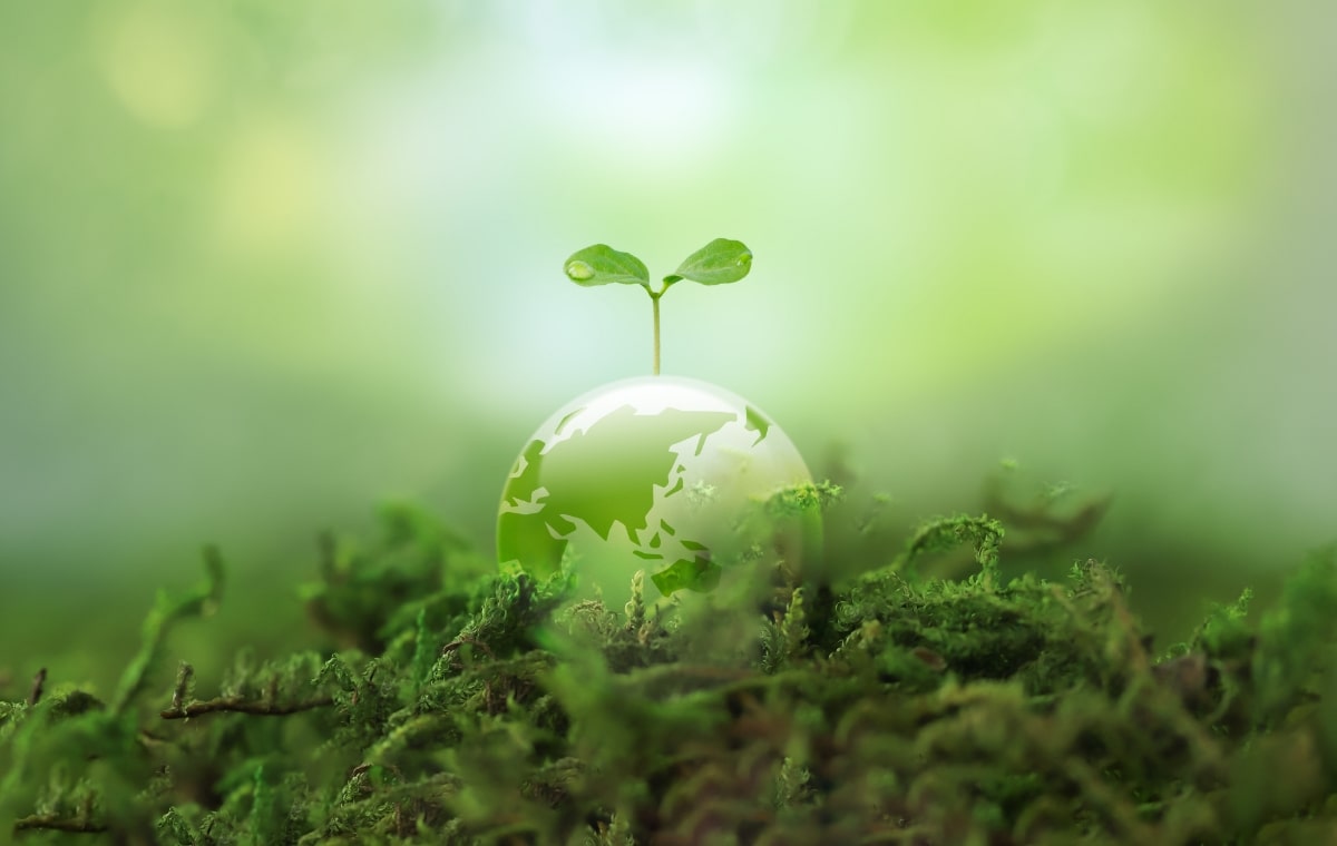 サステナビリティ